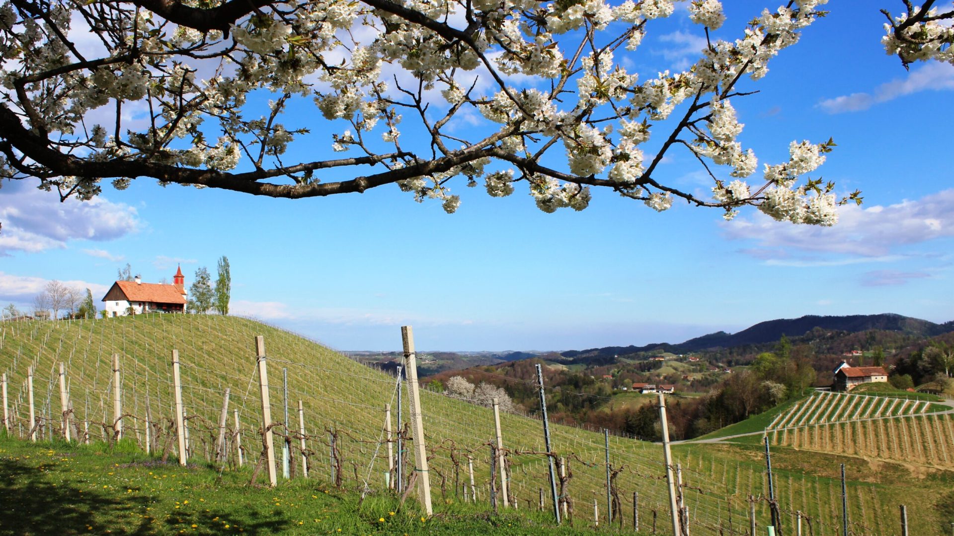 © Elisabeth Waltl / Turmkeusche Frühling